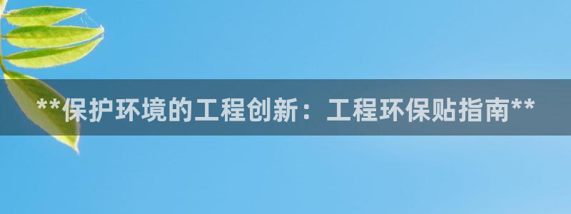 cmt彩名堂：**保护环境的工程创新