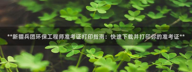 彩名堂一直不出结果怎么回事呀：**新疆兵团环保工程师准考证打印指南：快速下载并打印你的准考证**
