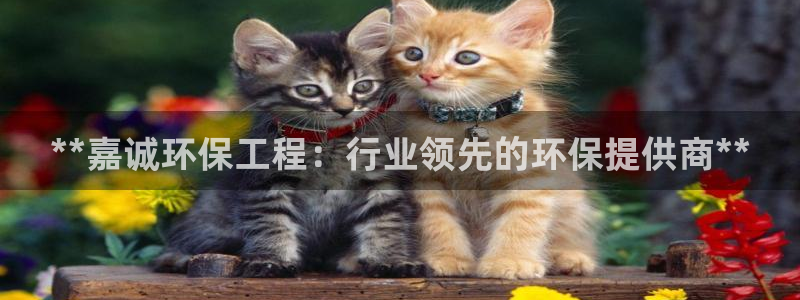 彩名堂免费计划官网5.0.0：**嘉
