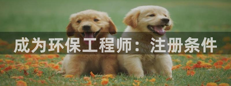 彩名堂怎么买准确率高一点：成为环保工