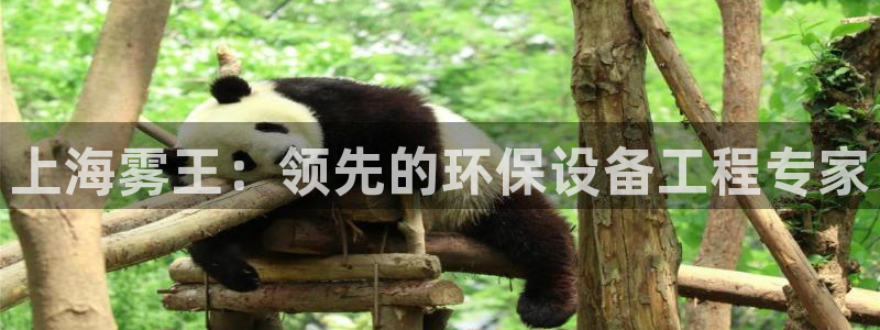 正规彩名堂官网计划：上海雾王：领先的