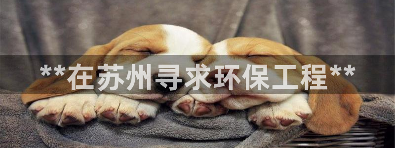彩名堂5.0：**在苏州寻求环保工程
