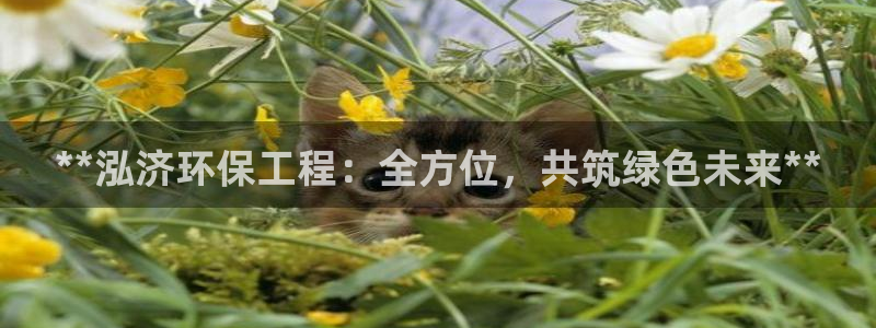 彩名堂为什么用不了了：**泓济环保工