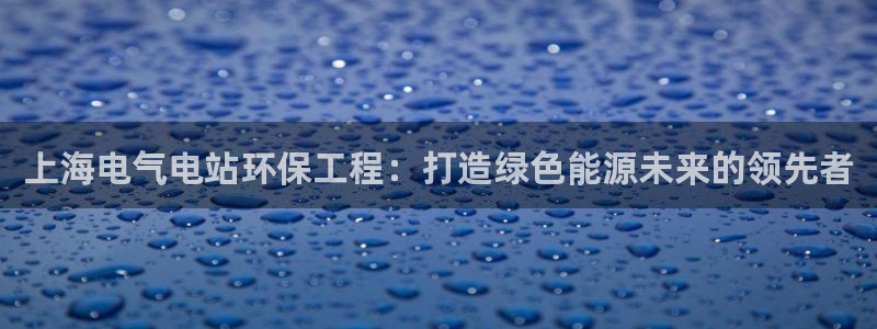 彩名堂用不了：上海电气电站环保工程：