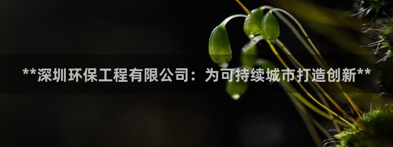 彩名堂是什么：**深圳环保工程有限公