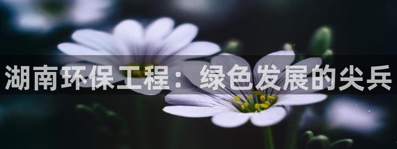 彩名堂苹果版怎么不能用了：湖南环保工