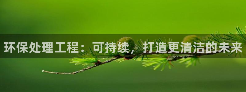 彩名堂用不了：环保处理工程：可持续，