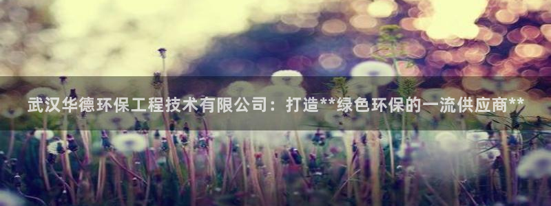 彩名堂全天计划：武汉华德环保工程技术