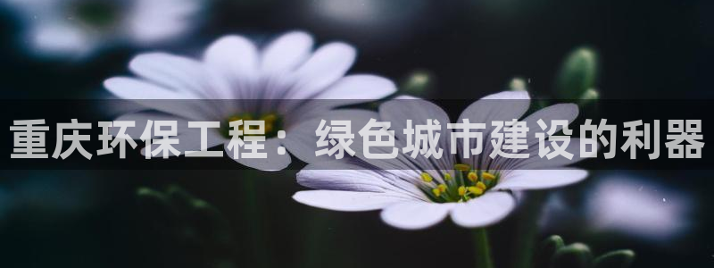 彩名堂免费计划使用方法：重庆环保工程
