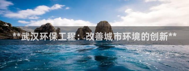 彩名堂官网：**武汉环保工程：改善城