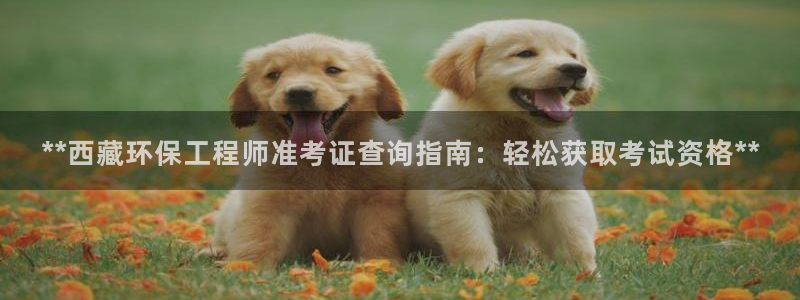 彩名堂安卓客户端官网下载安装：**西