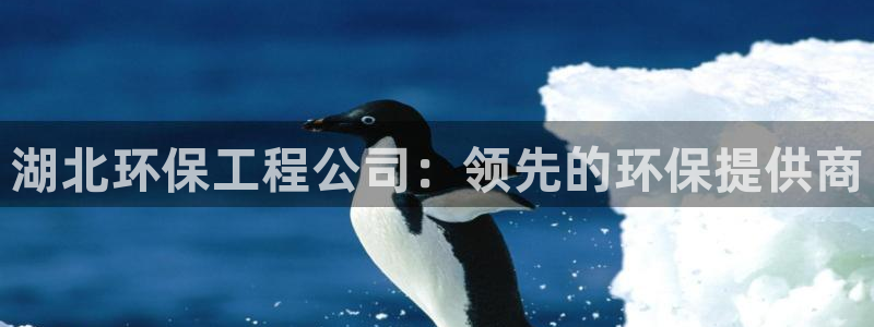 彩名堂官网谁有：湖北环保工程公司：领