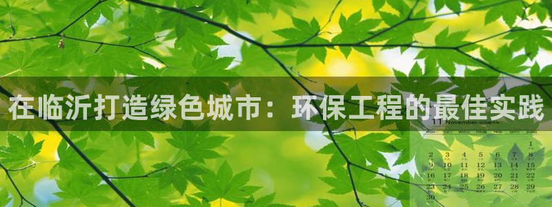 彩名堂在线下载：在临沂打造绿色城市：环保工程的最佳实践