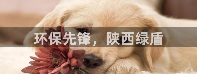 彩名堂怎么打不开了：环保先锋，陕西绿