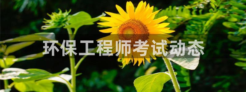彩名堂人工计划客户端官网：环保工程师