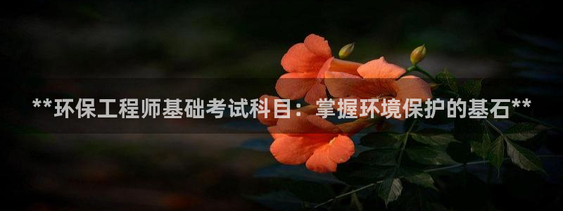 彩名堂不能用了吗：**环保工程师基础