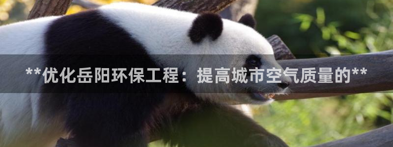 彩名堂客服电话号码：**优化岳阳环保工程：提高城市空气质量的**
