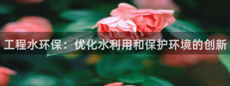 彩名堂加拿大怎么买准确率高：工程水环