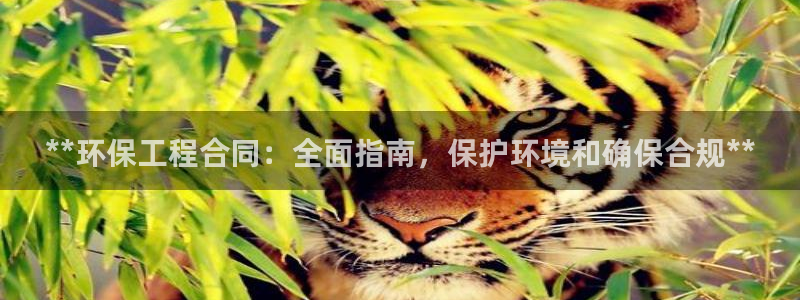 彩名堂安卓客户端官网：**环保工程合
