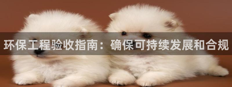 彩名堂为什么突然不能用了：环保工程验