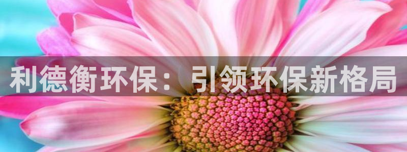 老版彩名堂：利德衡环保：引领环保新格