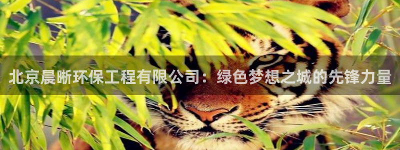 彩名堂计划技巧：北京晨晰环保工程有限