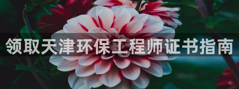 彩名堂怎么打最稳：领取天津环保工程师