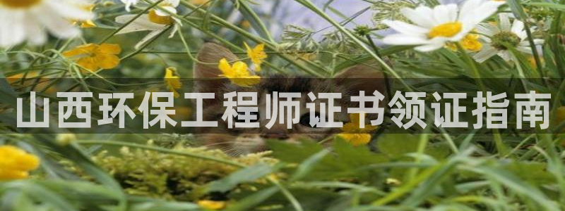 彩名堂计划怎么跟,为什么我一跟就挂：