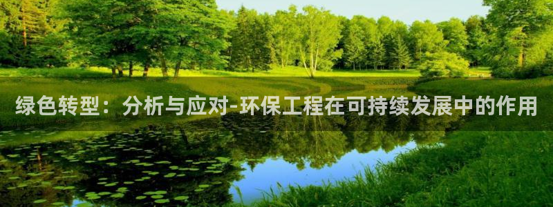 老版彩名堂：绿色转型：分析与应对-环