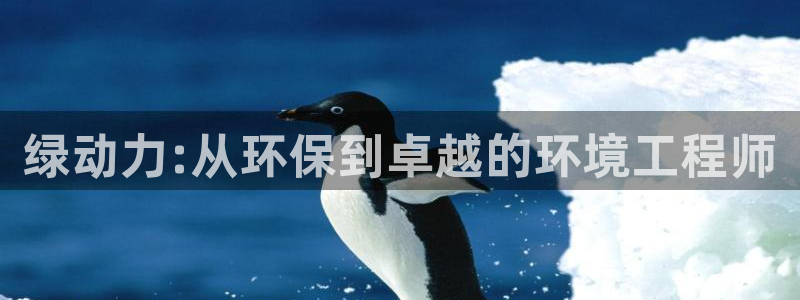 彩名堂手机客户端：绿动力:从环保到卓