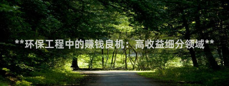 彩名堂官网：**环保工程中的赚钱良机：高收益细分领域**