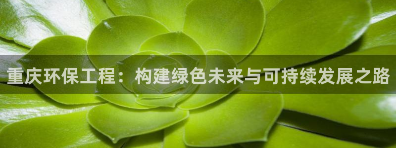 彩名堂计划怎么出的：重庆环保工程：构建绿色未来与可持续发展之路