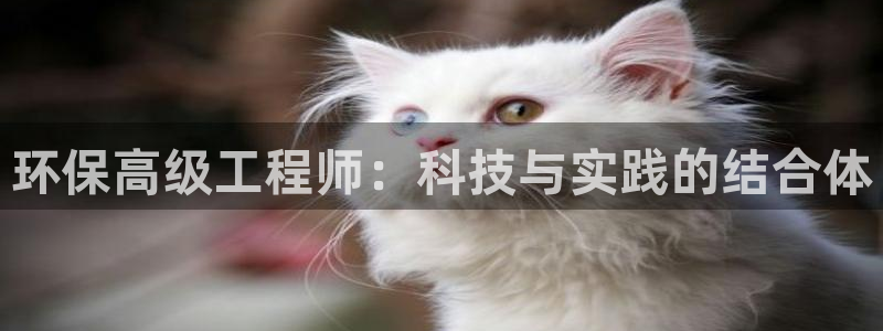 彩名堂怎么不能用了：环保高级工程师：