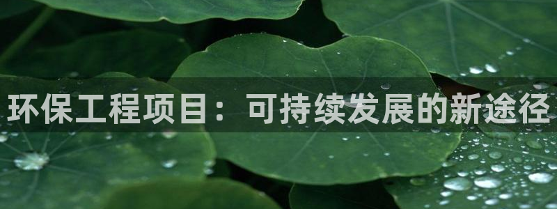 彩名堂免费计划使用方法：环保工程项目