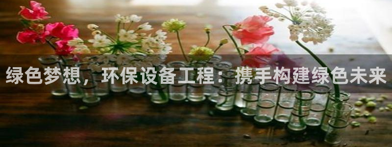 彩名堂计划怎么买胜率高：绿色梦想，环保设备工程：携手构建绿色未来