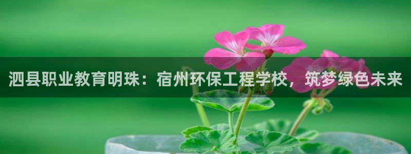 彩名堂是什么：泗县职业教育明珠：宿州