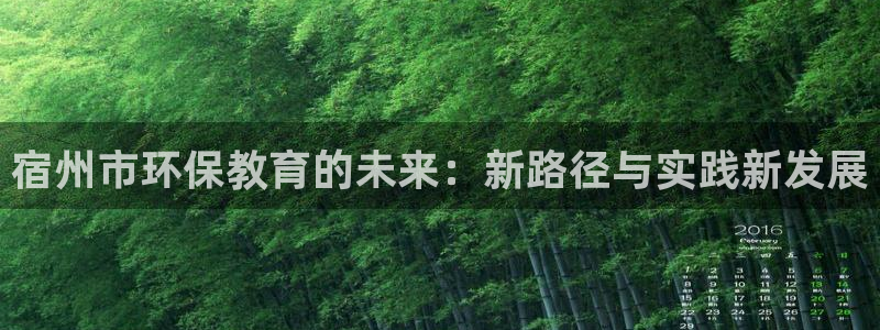 彩名堂5.0版计划怎么用不了：宿州市