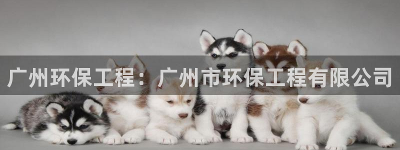 老版本彩名堂计划软件：广州环保工程：