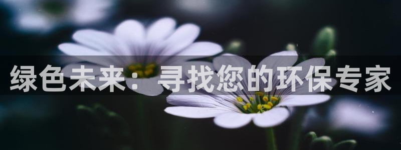 彩名堂官网在线计划：绿色未来：寻找您