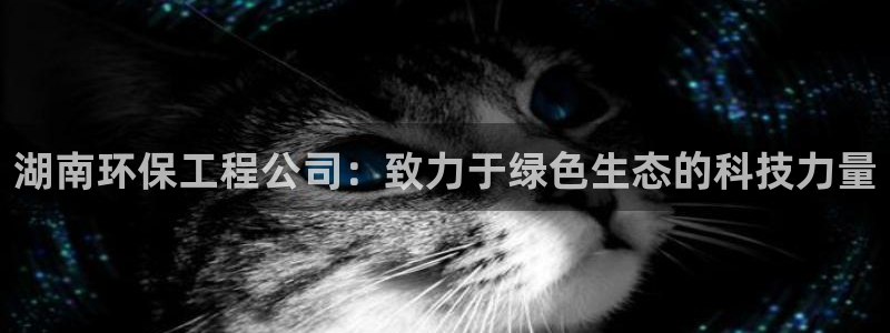 彩名堂苹果客户端：湖南环保工程公司：