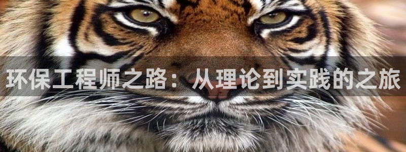 彩名堂为啥不准了乱变：环保工程师之路