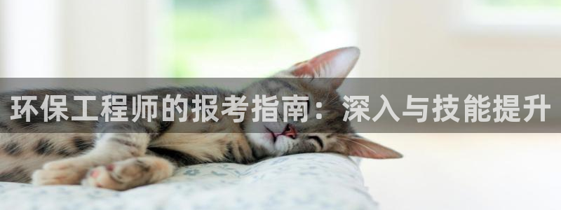 彩名堂计划技巧：环保工程师的报考指南：深入与技能提升