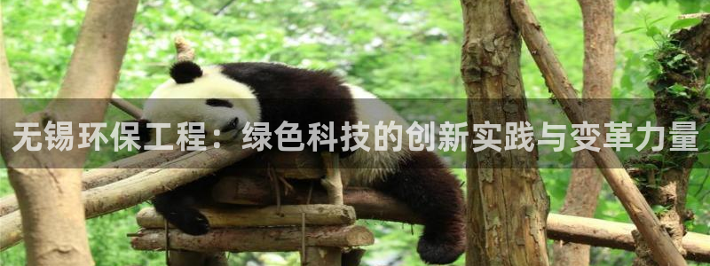 彩名堂官方平台：无锡环保工程：绿色科