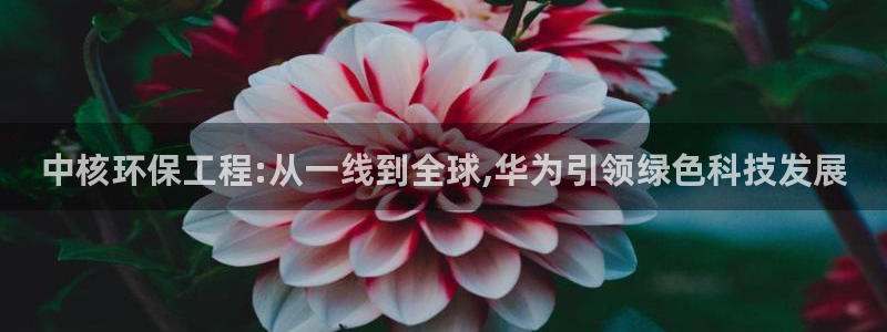 彩名堂官网计划01：中核环保工程:从一线到全球,华为引领绿色