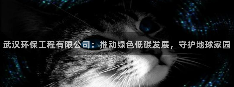 彩名堂app下载5.1.0：武汉环保工程有限公司：推动绿色低