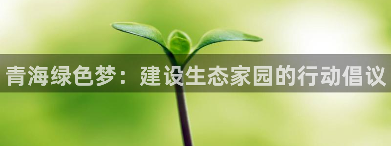 彩名堂怎么跟计划才不连挂呢：青海绿色梦：建设生态家园的行动倡
