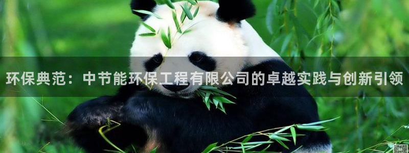彩名堂客户端是永久免费吗：环保典范：中节能环保工程有限公司的