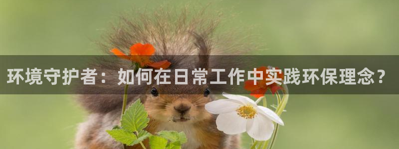 彩名堂怎么不能用了：环境守护者：如何在日常工作中实践环保理念