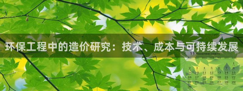 彩名堂客户端是永久免费吗安全吗苹果：环保工程中的造价研究：技
