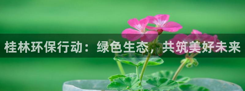 彩名堂App下载：桂林环保行动：绿色生态，共筑美好未来